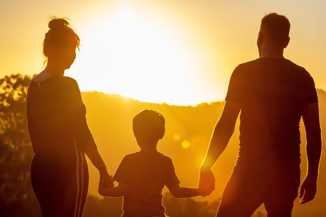 Family Lawyer family law lawyer fees